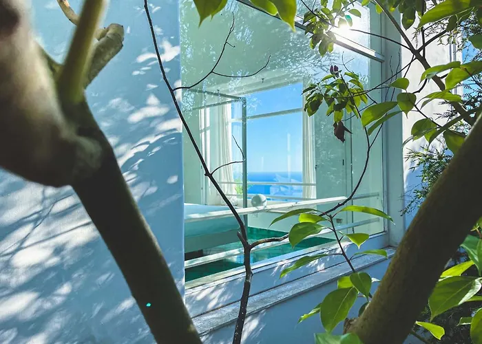 Il Carrubo Capri