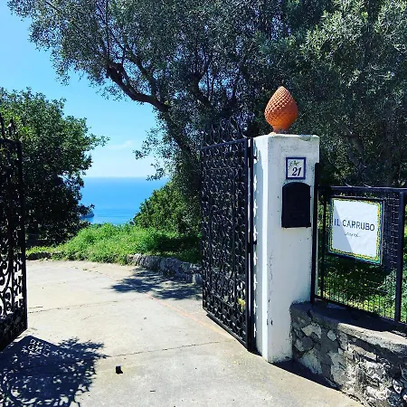 Il Carrubo Capri Anacapri (Isola di Capri)