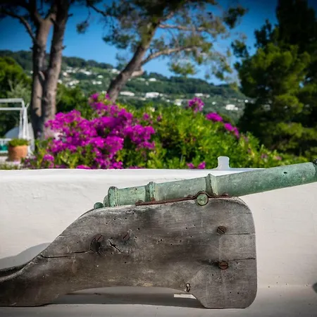 Il Carrubo Capri *