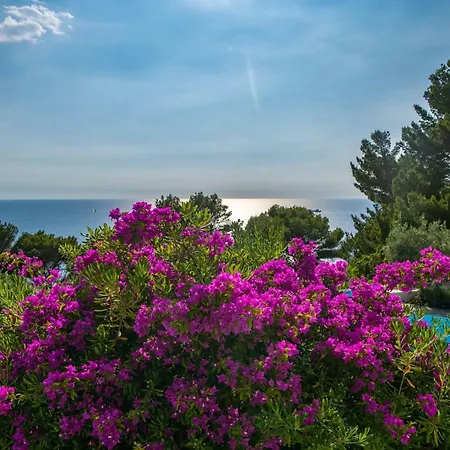 Il Carrubo Capri