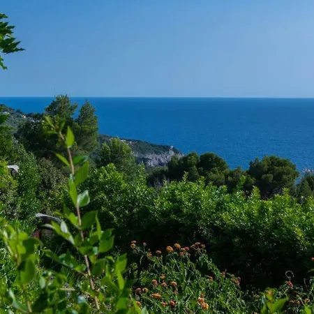 Gospodarstwo wiejskie Il Carrubo Capri *