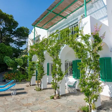 Gospodarstwo wiejskie Il Carrubo Capri